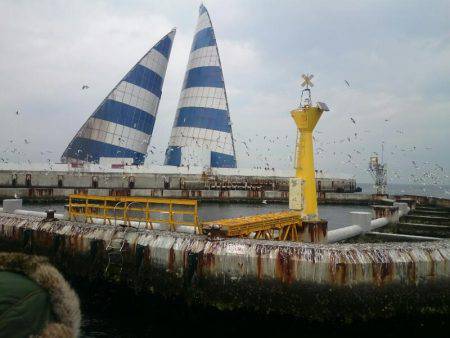 深川 吉野屋 釣果