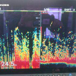 深川 吉野屋 釣果