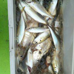 深川 吉野屋 釣果