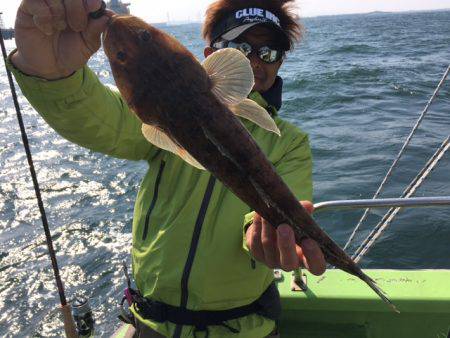 深川　吉野屋 釣果