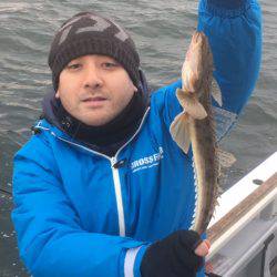 深川 吉野屋 釣果