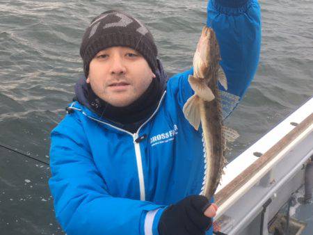 深川 吉野屋 釣果