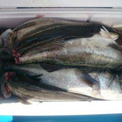 深川 吉野屋 釣果