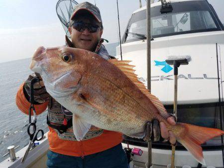 遊漁船　ニライカナイ 釣果