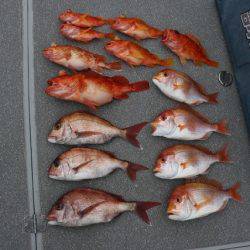 へいみつ丸 釣果