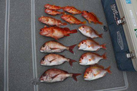 へいみつ丸 釣果