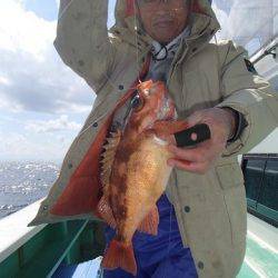 第二むつ漁丸 釣果