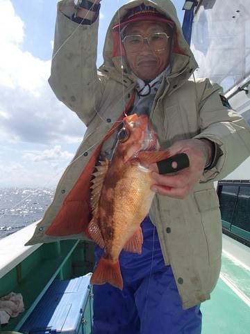 第二むつ漁丸 釣果