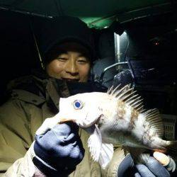 Magic（マジック） 釣果