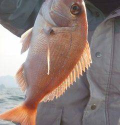 松福丸 釣果
