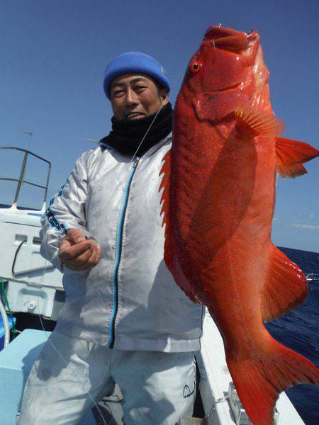 オーシャンパイオニア 釣果