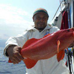オーシャンパイオニア 釣果