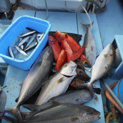 オーシャンパイオニア 釣果