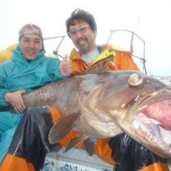 オーシャンパイオニア 釣果