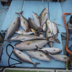 オーシャンパイオニア 釣果