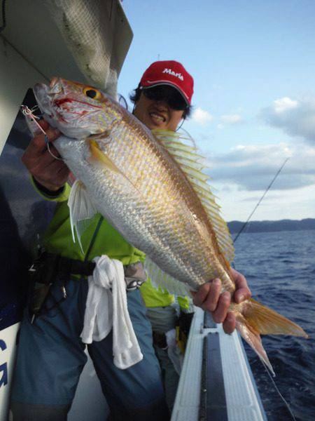 オーシャンパイオニア 釣果