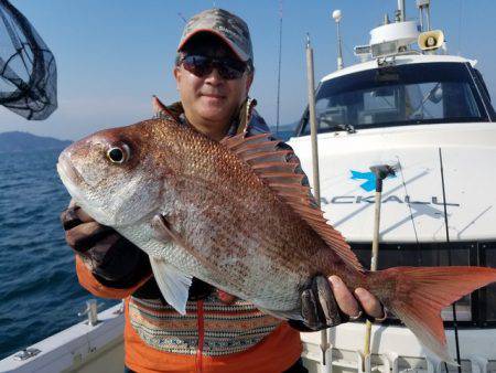 遊漁船 ニライカナイ 釣果