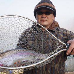 フィッシングレイクたかみや 釣果