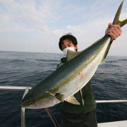 オーシャンズ　京都 釣果