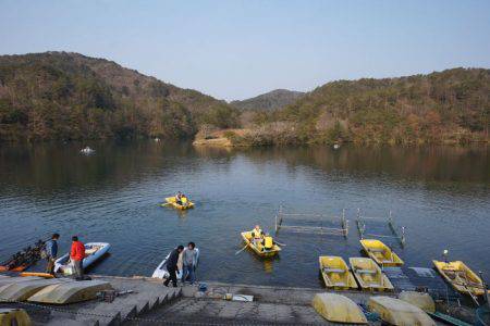 フィッシングレイクたかみや 釣果