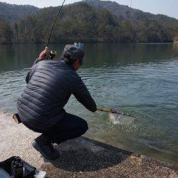 フィッシングレイクたかみや 釣果