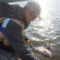 フィッシングレイクたかみや 釣果