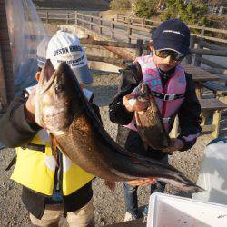 フィッシングレイクたかみや 釣果