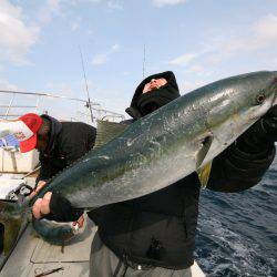 オーシャンズ　京都 釣果