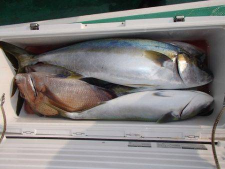 第二むつ漁丸 釣果