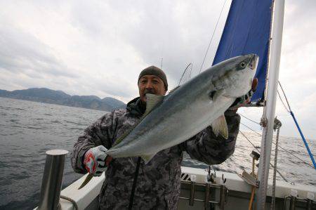 オーシャンズ　京都 釣果
