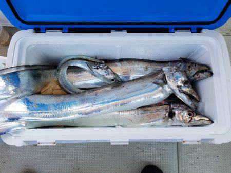 遊漁船　ニライカナイ 釣果