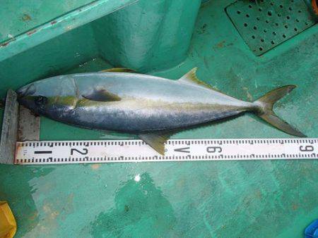 第二むつ漁丸 釣果