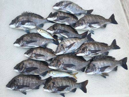 TOPGUN名古屋 釣果