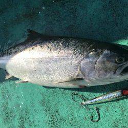 広進丸 釣果