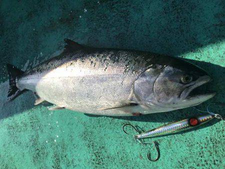 広進丸 釣果