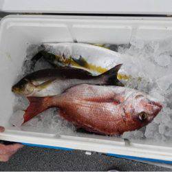 第二大福丸 釣果