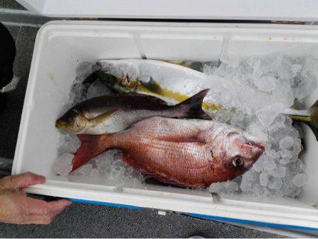 第二大福丸 釣果