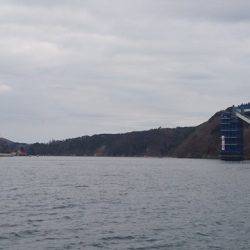 気仙沼 つり丸 釣果