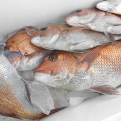 こうゆう丸 釣果