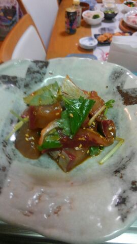 東京湾探釣隊ぼっち 釣果