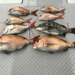ミタチ丸 釣果