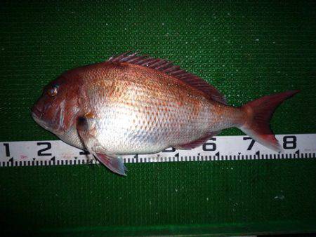 海山フィッシングセンター 釣果