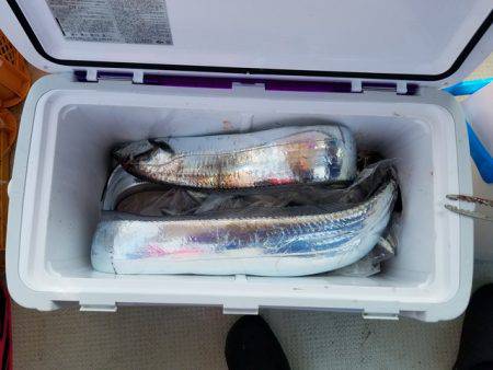 遊漁船　ニライカナイ 釣果