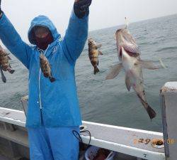 石川丸 釣果