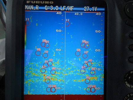 こうゆう丸 釣果