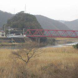 狩野川(狩野川漁業協同組合) 釣果