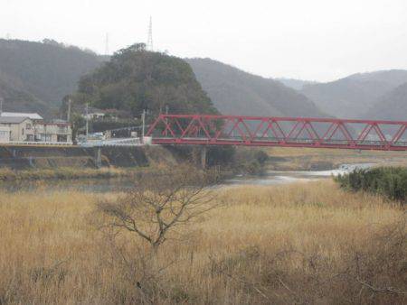 狩野川(狩野川漁業協同組合) 釣果