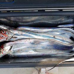 遊漁船　ニライカナイ 釣果