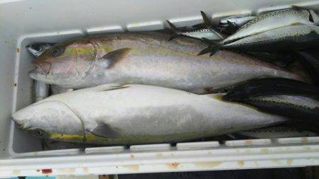 武勝丸（ぶしょうまる） 釣果