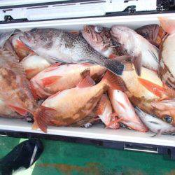 第二むつ漁丸 釣果